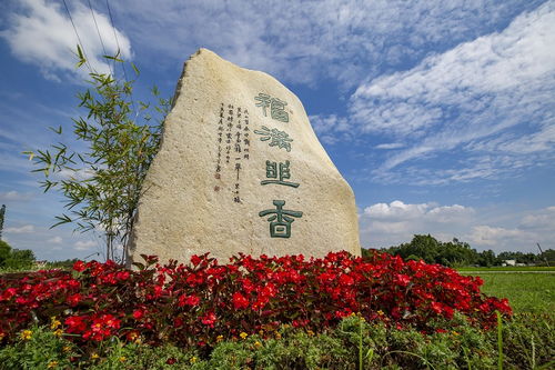 雙節(jié) 樂(lè)享郫都文旅盛宴 游玩中閱讀鄉(xiāng)村振興新篇章